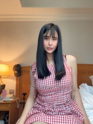 trans girl BarbieAnn 5553604 trans girl BarbieAnn 5553604