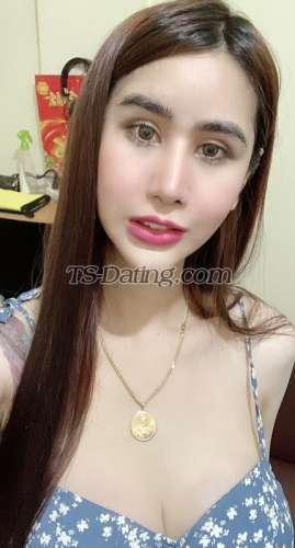 trans girl BarbieAnn 6093132 trans girl BarbieAnn 6093132