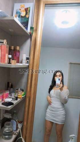 trans girl BarbieBenavi 3015310 trans girl BarbieBenavi 3015310