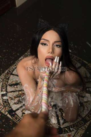 trans girl BarbieElla 9832949 trans girl BarbieElla 9832949