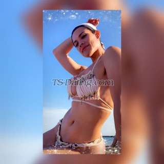 trans girl BarbieTS 0698957 trans girl BarbieTS 0698957