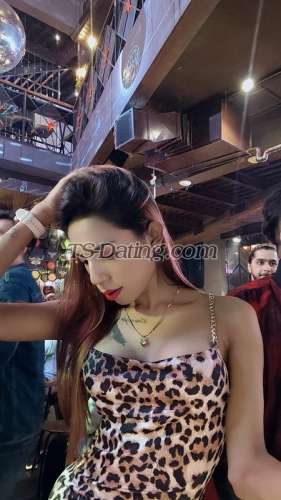 trans girl BarbieTS1 2155302 trans girl BarbieTS1 2155302