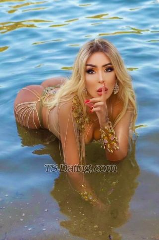 trans girl Barbistar 3878407 trans girl Barbistar 3878407