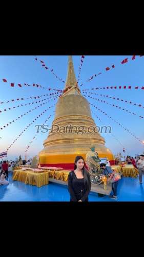 trans girl BbyTgirl 6169613 trans girl BbyTgirl 6169613