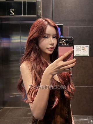 trans girl Beautylilly 9063738 trans girl Beautylilly 9063738