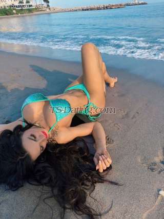 trans girl Bebastar 5284122