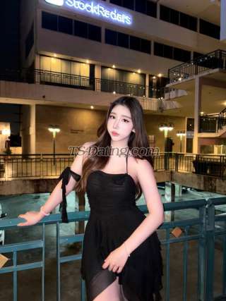 trans girl Bebelly 8556454