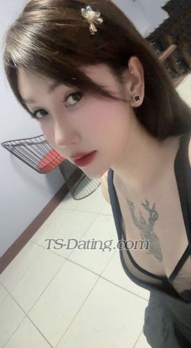 trans girl Beedxb97 9468265 trans girl Beedxb97 9468265