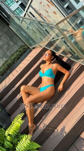 trans girl Beesofia 0622714 trans girl Beesofia 0622714