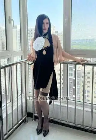 Shemale BeijingCDwei 0166722 Shemale BeijingCDwei 0166722