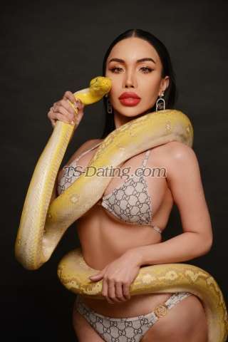 Shemale-Belinda69-5188438