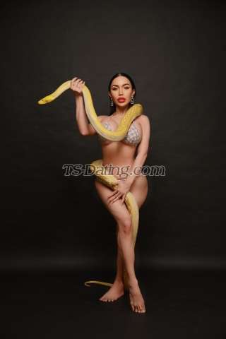 trans girl Belinda69 5188467 trans girl Belinda69 5188467