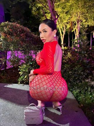 trans girl Belinda69 7347043 trans girl Belinda69 7347043