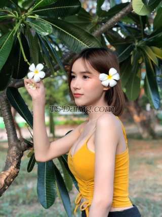 trans girl Bella424 3153061