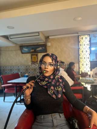 trans girl Bella696969 3865100 trans girl Bella696969 3865100