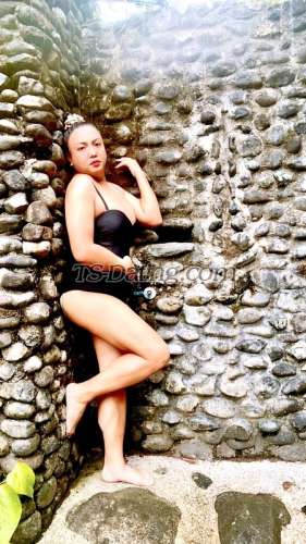 trans girl BellaGirl4u 3549374