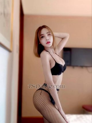 trans girl Bellachad399 8711523 trans girl Bellachad399 8711523