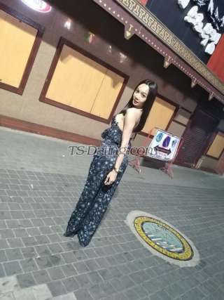 trans girl Bellbell1119 3079339