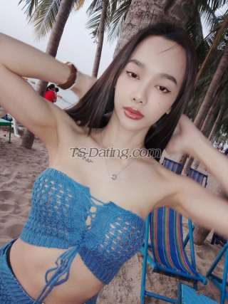 trans girl Bellbell1119 6160067