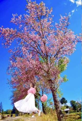 trans girl Berona 2384914 trans girl Berona 2384914
