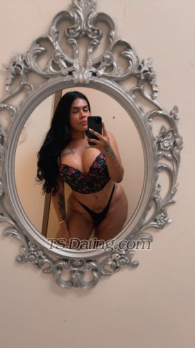 trans girl Beverlyhilton 6486319 trans girl Beverlyhilton 6486319