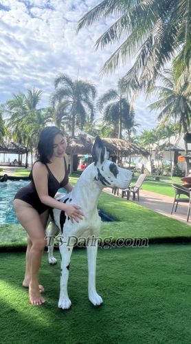 trans girl BigHotyHorny 8445441 trans girl BigHotyHorny 8445441