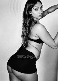 Bigdickruhi Delhi Transex _____Welcome everyone_____MY TELEGRAM ID -
@RUHIPAUL24______My self - ruhi paul_____🚨
IF YOU SEE MY PROFILE IN SHOKKA or LOCANTO THEN REPORT
BECAUSE I AM NOT USING THAT PROFILES SO MANY FAKE
PEOPLES MAKING MY PROFILE IN SHOKKA AND LOCANTO TO TAKING
MONEY FROM THE CLIENT BE ALERT
🚨🚨AND PLEASE DEAR DON'T PAY ONLINE ANY
FAKE ACCOUNT FIRST TAKE FACE CONFIRMATION THEN PAY FOR
ONLINE SESSIONS 🚨❌NO COUPLES NO FEMALE
❌______I'm here  for provide online service &
real meeting______Outstation______hotel
service______bachelor party_____I have
34inch saggy soft hormonal breast With
6FT TALL PERSONALITYI have 7.9inch   ACTIVE
DICK(I am not taking any hormones that's why my
dick was totally active) I AM TOTALLY VERSATILE I
AM GOOD IN TOP AND ALSO GOOD IN BOTTOM WHATEVER YOU WANT I
CAN DO FOR YOU BUT YOU HAVE TO PAY MY AMOUNT THEN I WILL
GIVE YOU PROPER SATISFACTIONI have slim sexy
figureWith big size good shape ass__All about
my real meeting__- nude body to body oil
massage- fucking sucking licking - all
kind of role play - nude dancing & All
kind of sessions available whatever you want you can just
tell me I have my personal & clean place so
don't worryIf you want out calling you just have to pay
a little bit at once then I will come definitely in your
place All about my online services
Video call Voice call Sex
chat with sexy voice note Sucking video
clipsFucking video clips
So my gentleman's if u interested
in my session You can definitely contact my WhatsApp
also contact my contact number
_____I'm 24/7 available for
everyone________Also I am
not interested in any free stuff any e time pass
topic_______Time pass people's
instant block for lifetime____ _______Thank
you so much gentlemen's for visiting my profile_______