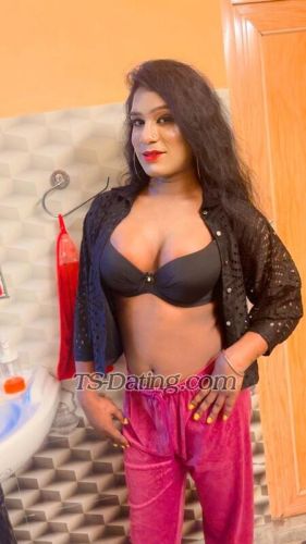 trans girl Blackbeauty 9730641 trans girl Blackbeauty 9730641