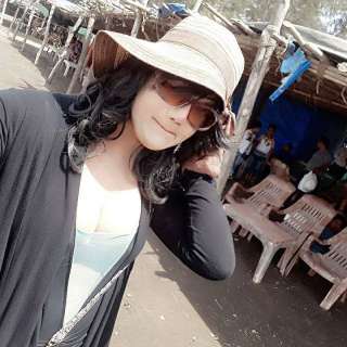 Blackcock 2645033 Blackcock 2645033