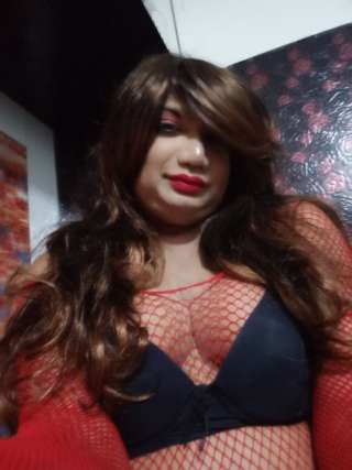 Blackcock 2773854 Blackcock 2773854