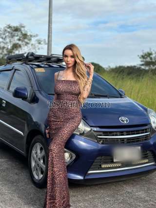 trans girl CumReloader 0716769 trans girl CumReloader 0716769