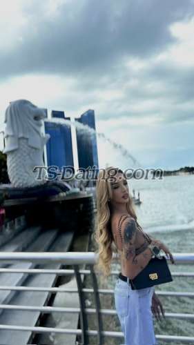 trans girl CumReloader 9788097 trans girl CumReloader 9788097