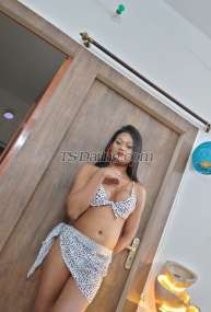 Bombshellbab Kolkata Transex Splendido, elegante, pre-operato ecco la versatile trans Moneeka... Ottieni ciò che vedi. Le mie statistiche: 36-32-34, pene attivo alto 1,80 m. Modalità di pagamento ora accettata XXX Google Pay / Phone Pay / PayTM / bonifico bancario Potete chiamarmi in qualsiasi momento al numero indicato sopra per le sessioni di chiamata vocale e video. Chi passa il tempo si tenga alla larga o venga bloccato. Chat di sesso disponibile anche con foto di nudo I nuovi arrivati sono i benvenuti. Sono molto sexy ed elegante, come potete vedere nelle mie foto, nuove ed esclusive del mio ultimo servizio fotografico. Con me non ci sono sorprese nascoste, ve lo prometto! Offro una gamma completa di servizi, adoro fare festa e sarò sempre pronta ad aprire la porta per realizzare tutti i tuoi sogni e le tue fantasie più sfrenate e oscure. Sono molto amichevole e possiamo continuare la sessione senza intoppi. Ti offrirò un servizio eccellente e dopo aver partecipato alla sessione diventerai mia fan. I miei servizi: -Sesso orale -Sperma sul viso -Sperma sul corpo/sesso/bocca --Posizione sessuale: 69 -Alto-Basso -Massaggi erotici - Seduta in faccia -Masturbazione reciproca Per le sessioni audio/video, è necessario pagare in anticipo.....(Non posso dare a nessuno una dimostrazione o una conferma)....... Sono una trans vera e genuina al 100% Fidatevi di me e contattatemi.....