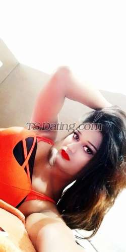 trans girl Bombshellbab 3929188 trans girl Bombshellbab 3929188