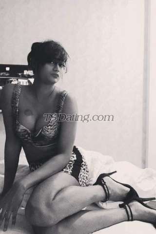 trans girl Bombshellbab 3932787 trans girl Bombshellbab 3932787