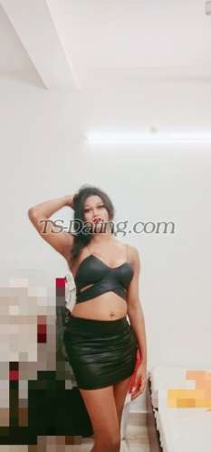 trans girl Bombshellbab 8992847 trans girl Bombshellbab 8992847