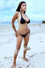 Bombshellxx Cebu Transex AGORA EM CEBU MACTAN FILIPINAS, você pode entrar em contato comigo pelo telefone +639177828762. Você está procurando um encontro mais real perto do que você fantasia? Imagine que tudo o que você realmente queria é ser real e com alguém. pense e decida. Im a ts que mais do que a criação estética do homem ainda é um ser humano que entende o que você quer. Mais do que o seu dinheiro é um serviço de ambos os sexos que estou disposto a compartilhar, nada a perder, pois tudo que me importa é sua satisfação total e garantia de prazer... Sem atitude, apenas me divertindo... sei que você procurou e tentou, mas lembre-se sempre de que a experiência é o melhor professor.