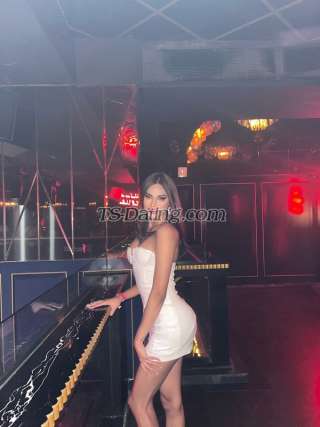 trans girl BrendaLeone 4311424