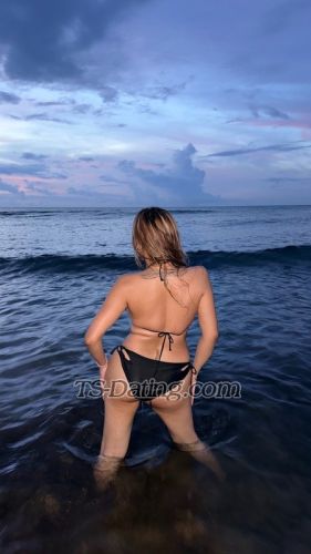 trans girl Bridgette31 2848225 trans girl Bridgette31 2848225