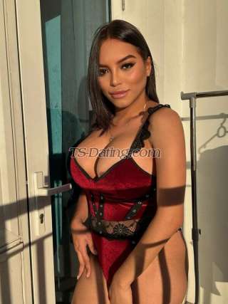 trans girl Bridgette31 8213030 trans girl Bridgette31 8213030