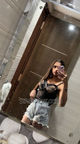 trans girl Brownqueen 7492357