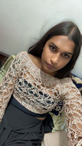 trans girl Brownqueen 9716628 trans girl Brownqueen 9716628