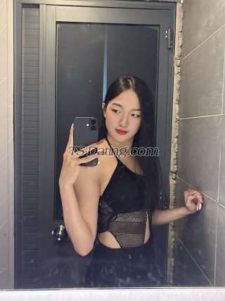 trans girl Brulee 3602552 trans girl Brulee 3602552