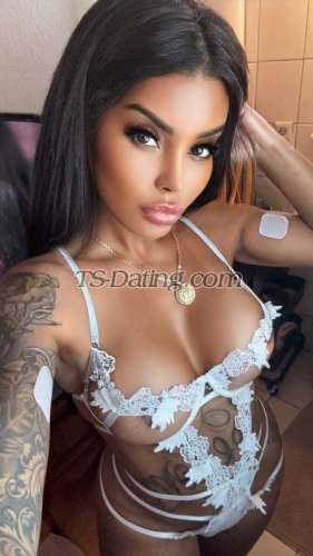 trans girl BrunaVip 8424127 trans girl BrunaVip 8424127