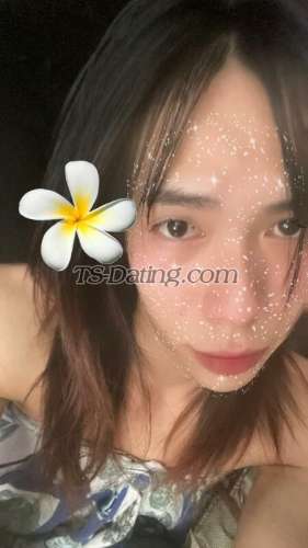 trans girl Bt092543 1415945 trans girl Bt092543 1415945