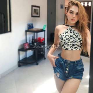 trans girl Bunnyfitx 4583624 trans girl Bunnyfitx 4583624