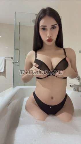 trans girl babyfarah 9612634 trans girl babyfarah 9612634