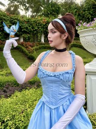 trans girl babygirl01 0398836 trans girl babygirl01 0398836