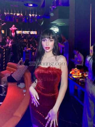 trans girl babygirl01 4209526 trans girl babygirl01 4209526