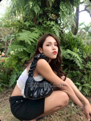 trans girl bambam26 4967839